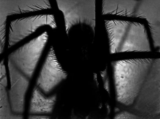 garage haunted house